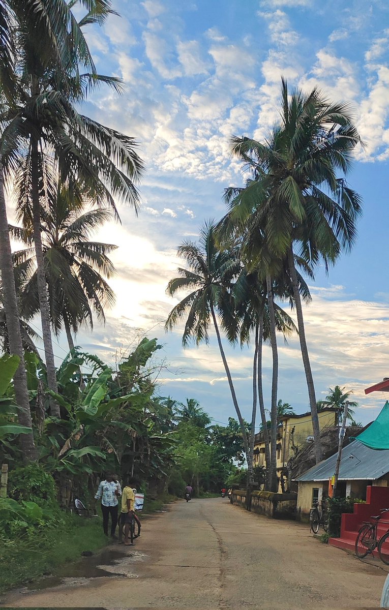 JN Pankaj tweet media