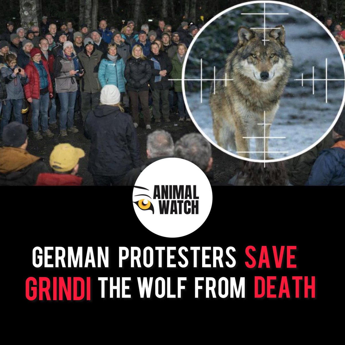 dominic dyer tweet media