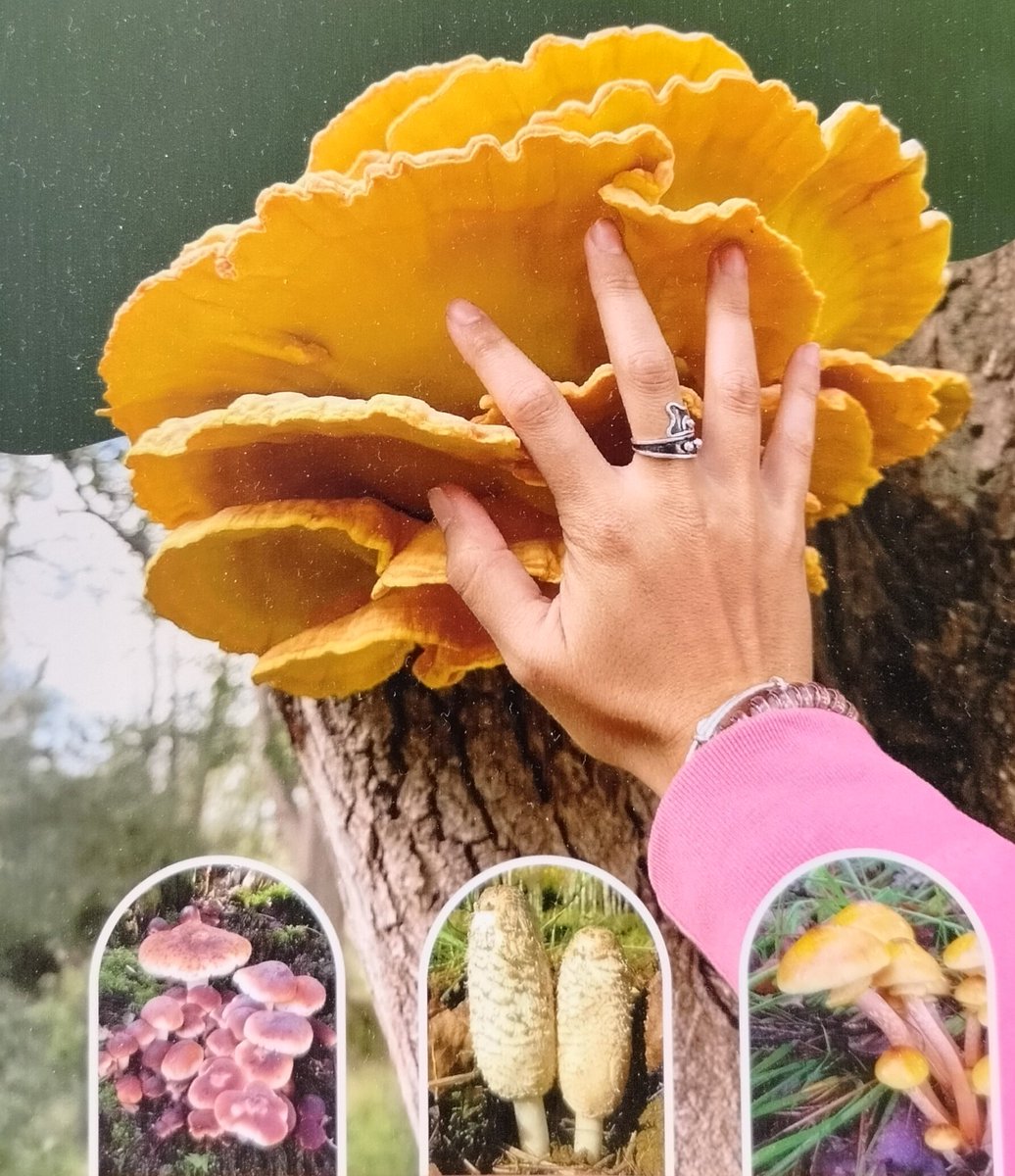 Juan Andrés Oria de Rueda de Salgueiro tweet media