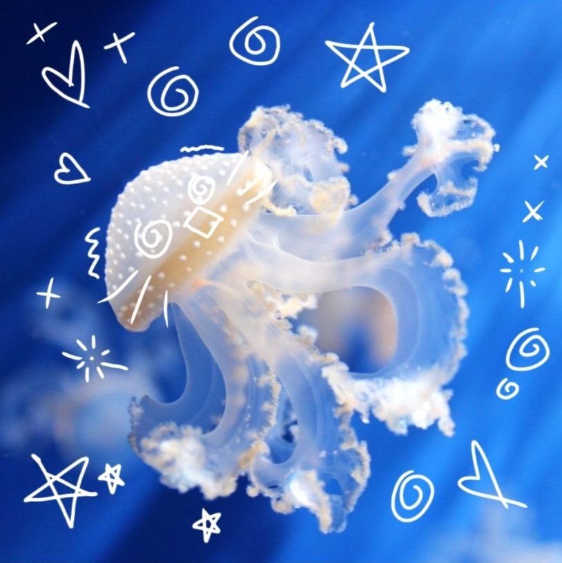 kim 🧩💌 tweet media