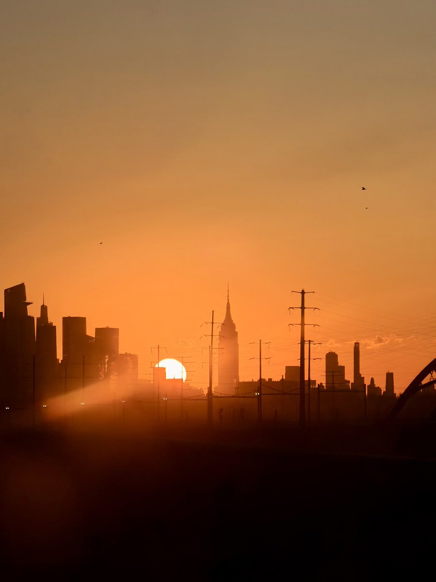 Raphael Schaad tweet media