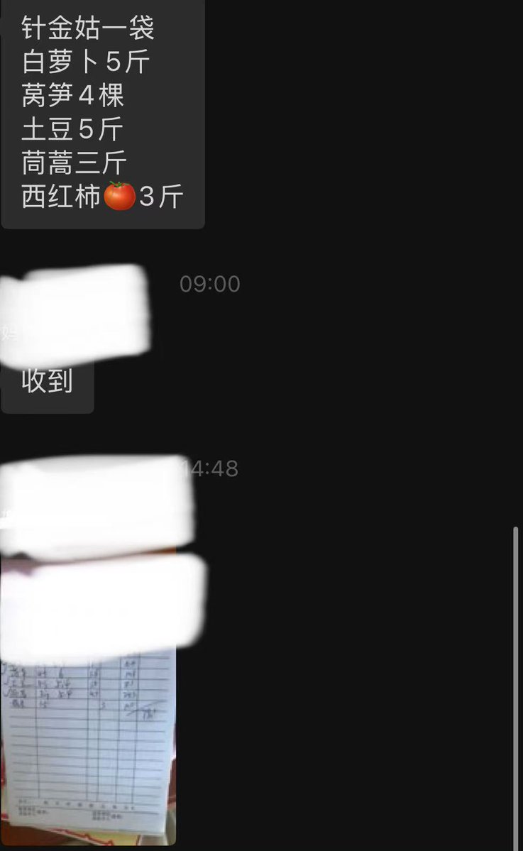 leaf｜葉 tweet media