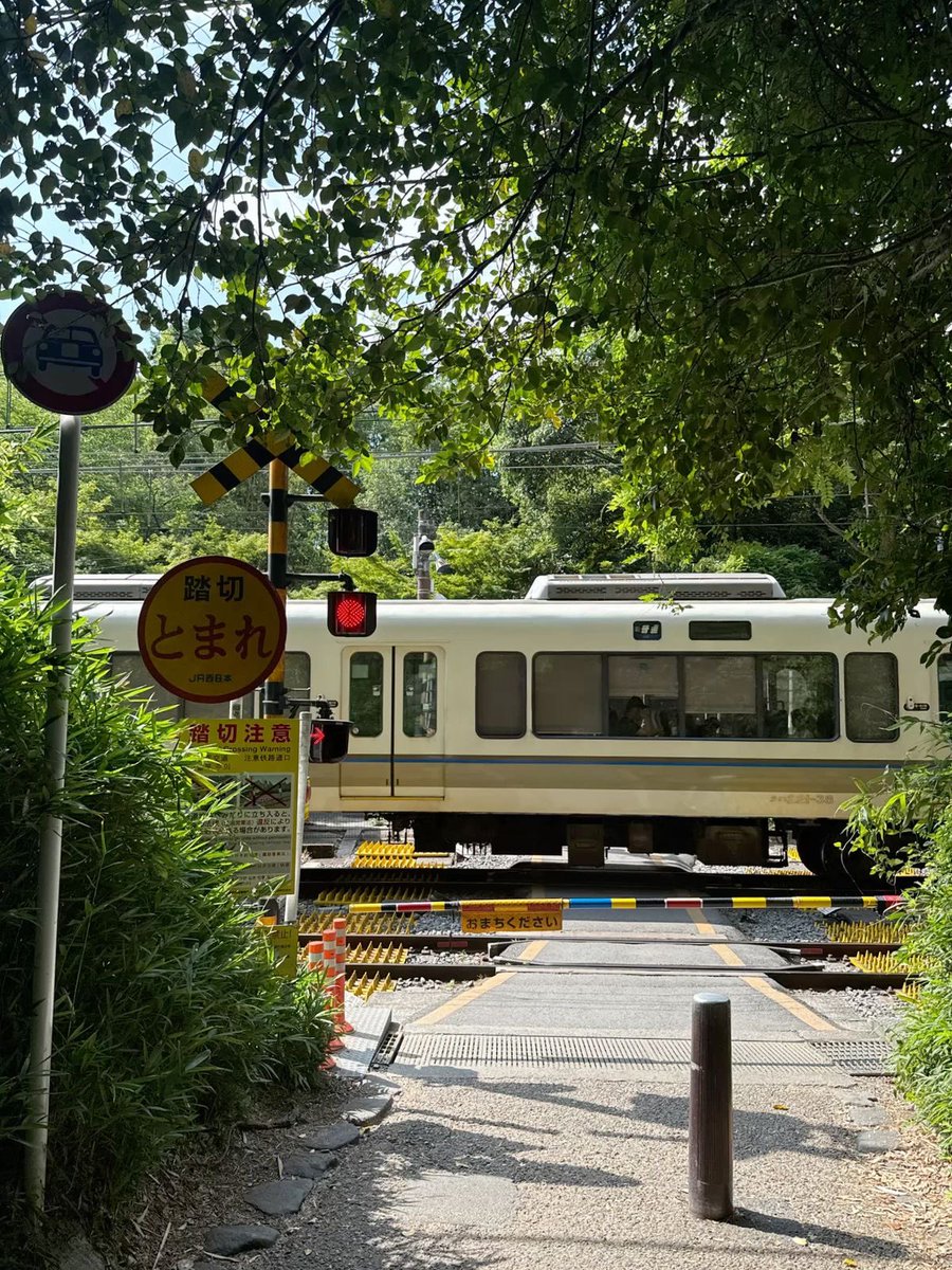 p˚୨୧⋆。🐈˚ ⋆ tweet media