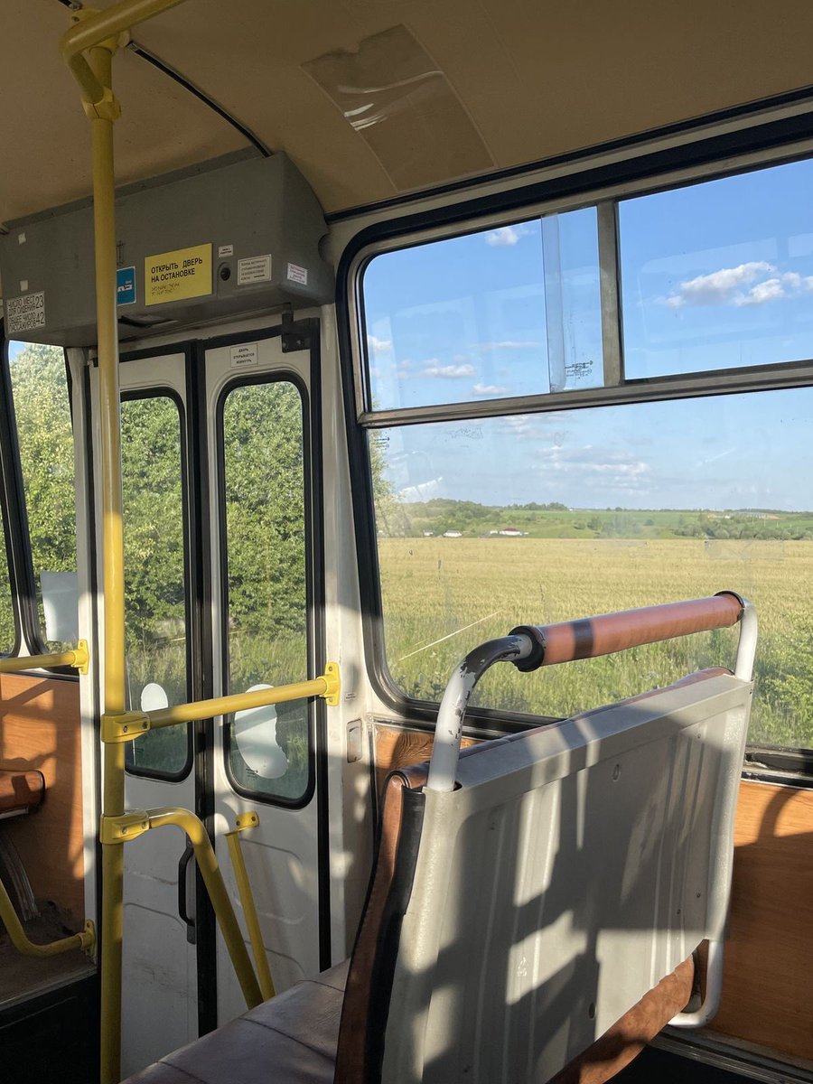 p˚୨୧⋆。🐈˚ ⋆ tweet media