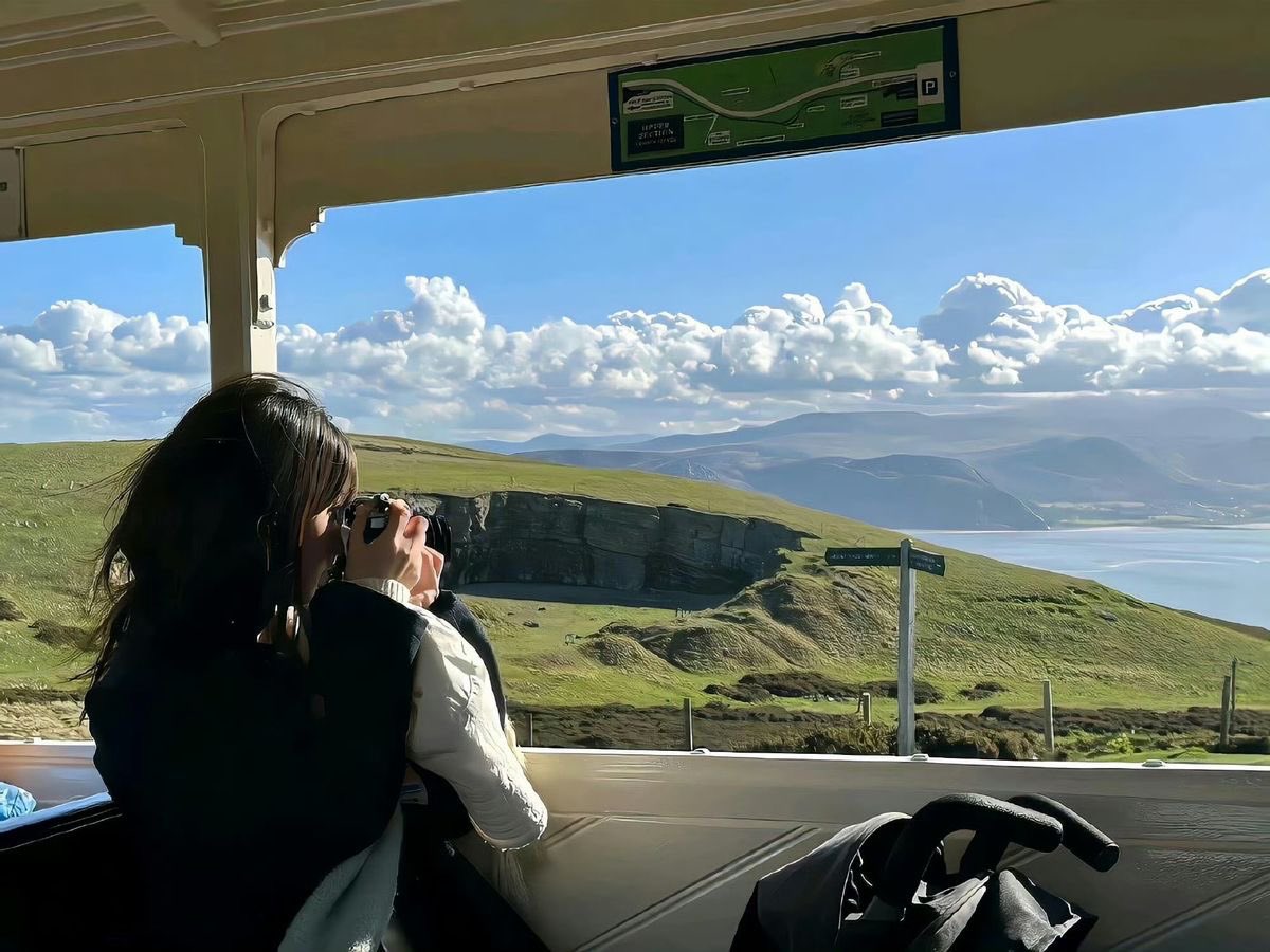 p˚୨୧⋆。🐈˚ ⋆ tweet media