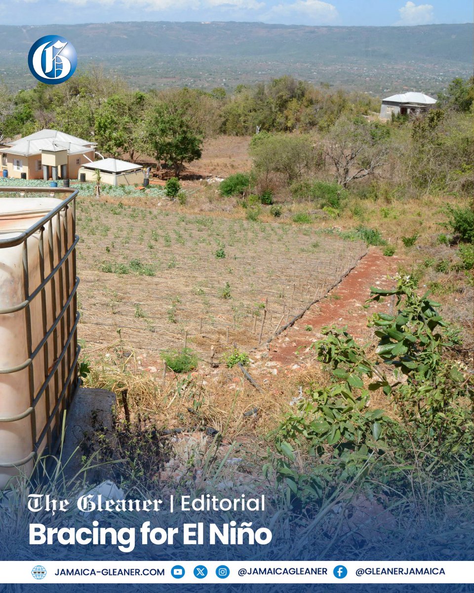 Jamaica Gleaner tweet media