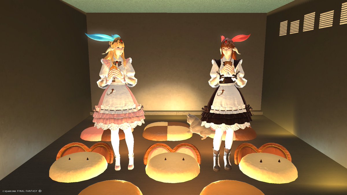 Alyusha＊猫の雪宿＊🌲🐈🍃 tweet media