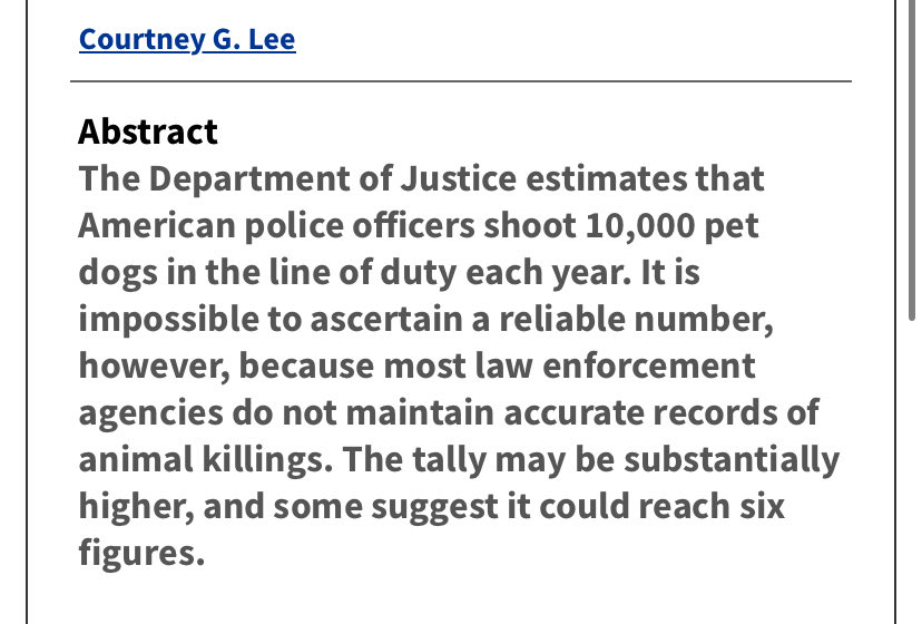 pat 🫧 tweet media