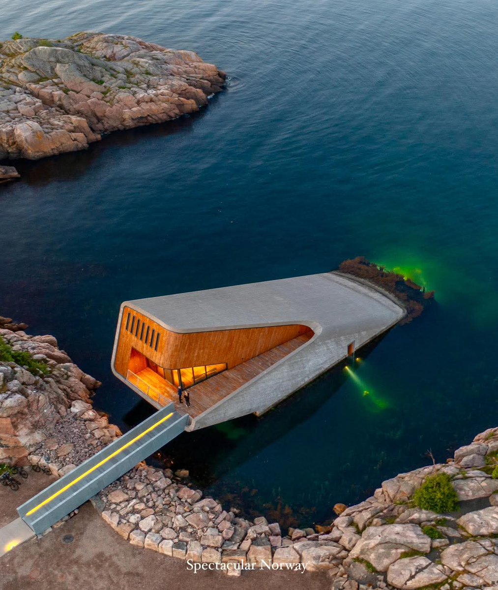 @googeliart.bsky.social 🦋 tweet media