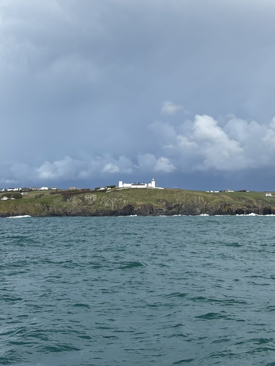 Will 〓〓💙 tweet media