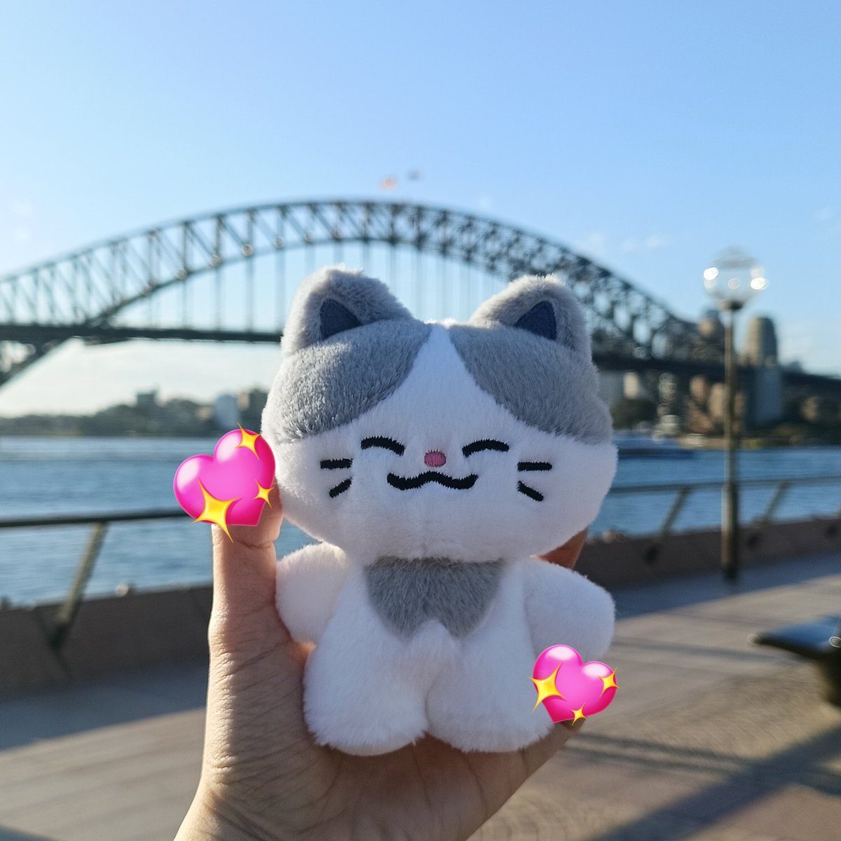 zaochenyinyue's tweet photo. Take my Lemyo to Sydney 🩵 https://t.co/i4CXYXZMIJ