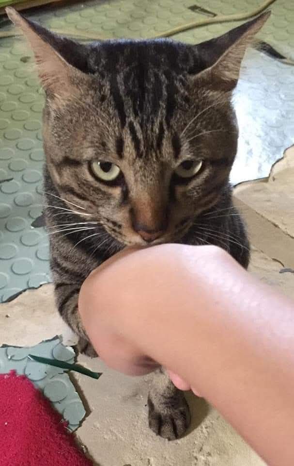 Ketawa itu GRATIS 🛩 tweet media