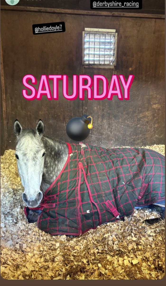 Derbyshire Racing tweet media