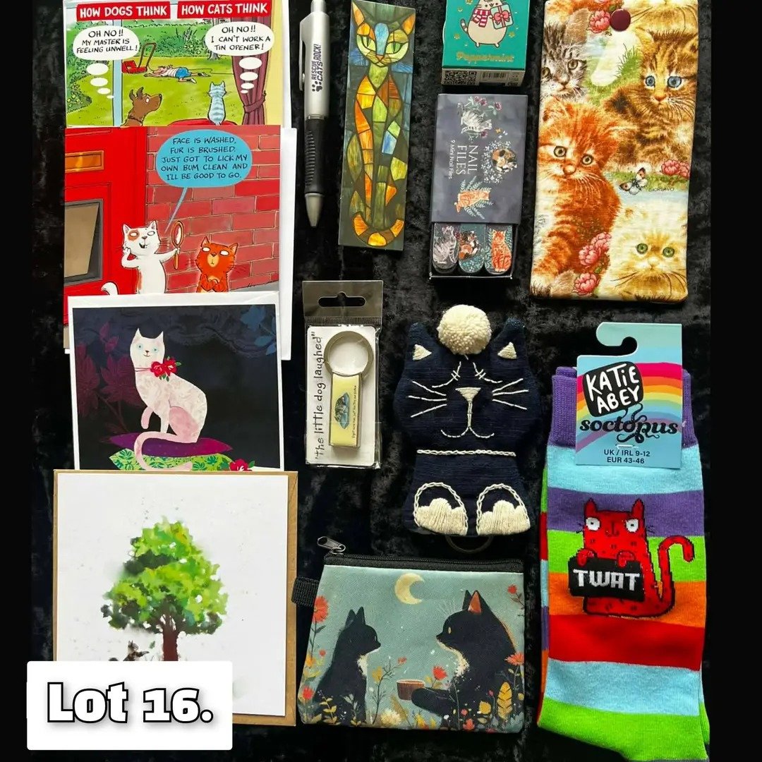 Nesquik1962's tweet image. Facebook #HelpAnimalsUK #Spring #Auction go bid on some lots
#Cat bundle, earrings, giraffe drawing, pig 🐖 ornament &amp;amp; toy