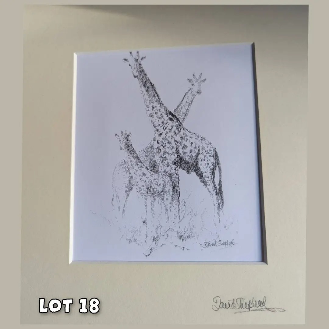 Nesquik1962's tweet image. Facebook #HelpAnimalsUK #Spring #Auction go bid on some lots
#Cat bundle, earrings, giraffe drawing, pig 🐖 ornament &amp;amp; toy