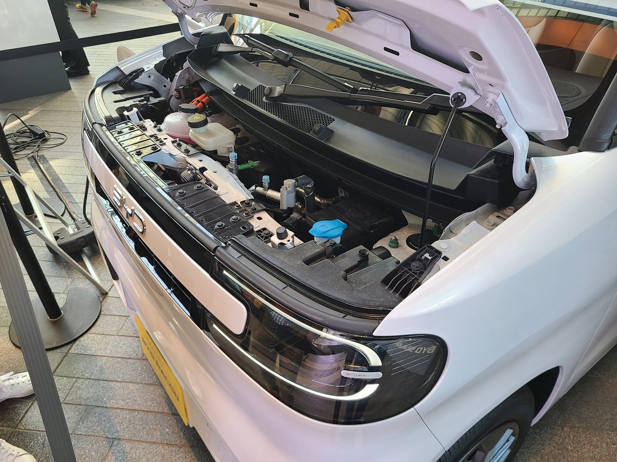 Rio fromCarClip tweet media