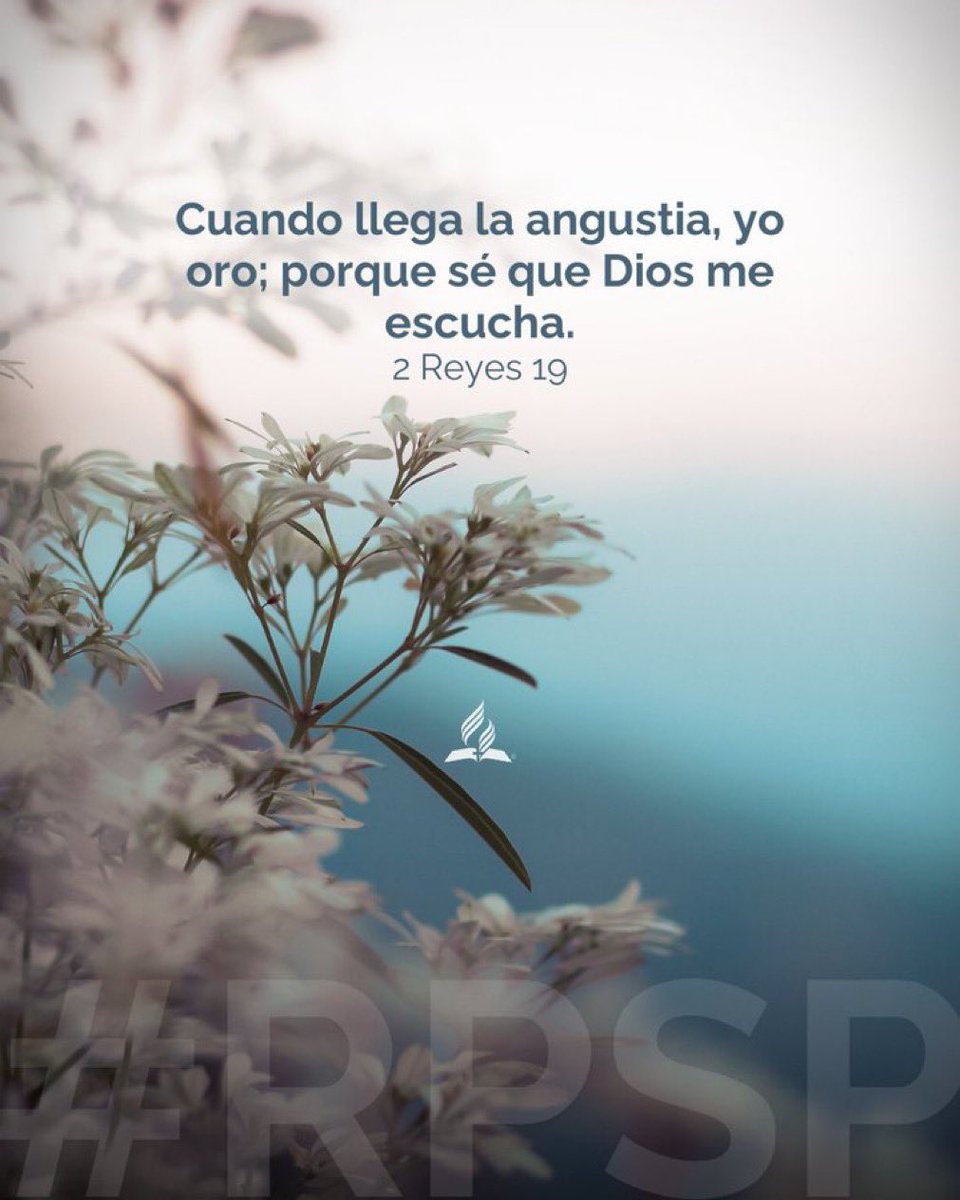 #rpsp | 2Reyes 19
“Inclina, oh Jehová, tu oído y escucha; abre, oh Jehovah, tus ojos y mira. Escucha las palabras que Senaquerib ha mandado decir para afrentar al Dios vivo.”

En nuestras angustias, busquemos a Dios en oración!!! 🙏🙏🙏

#PrimeroDios