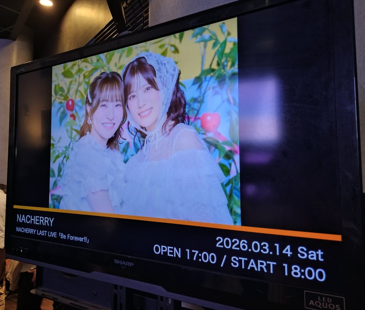 ぶれーどえいと@れぎゃ米@NACHERRY LAST LIVE tweet media