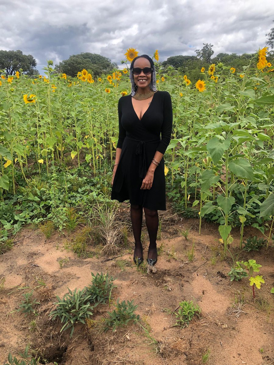 Nyemudzai tweet media