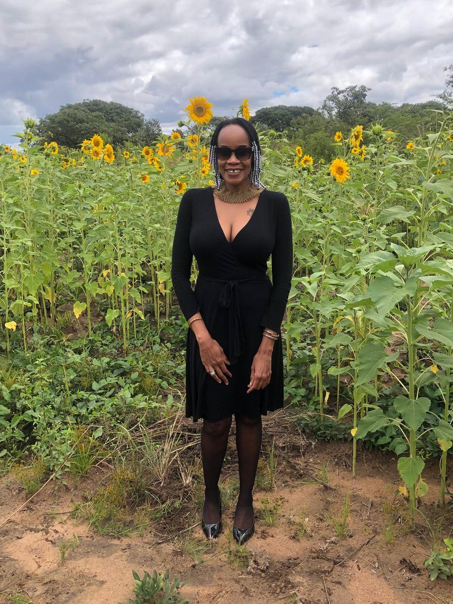 Nyemudzai tweet media