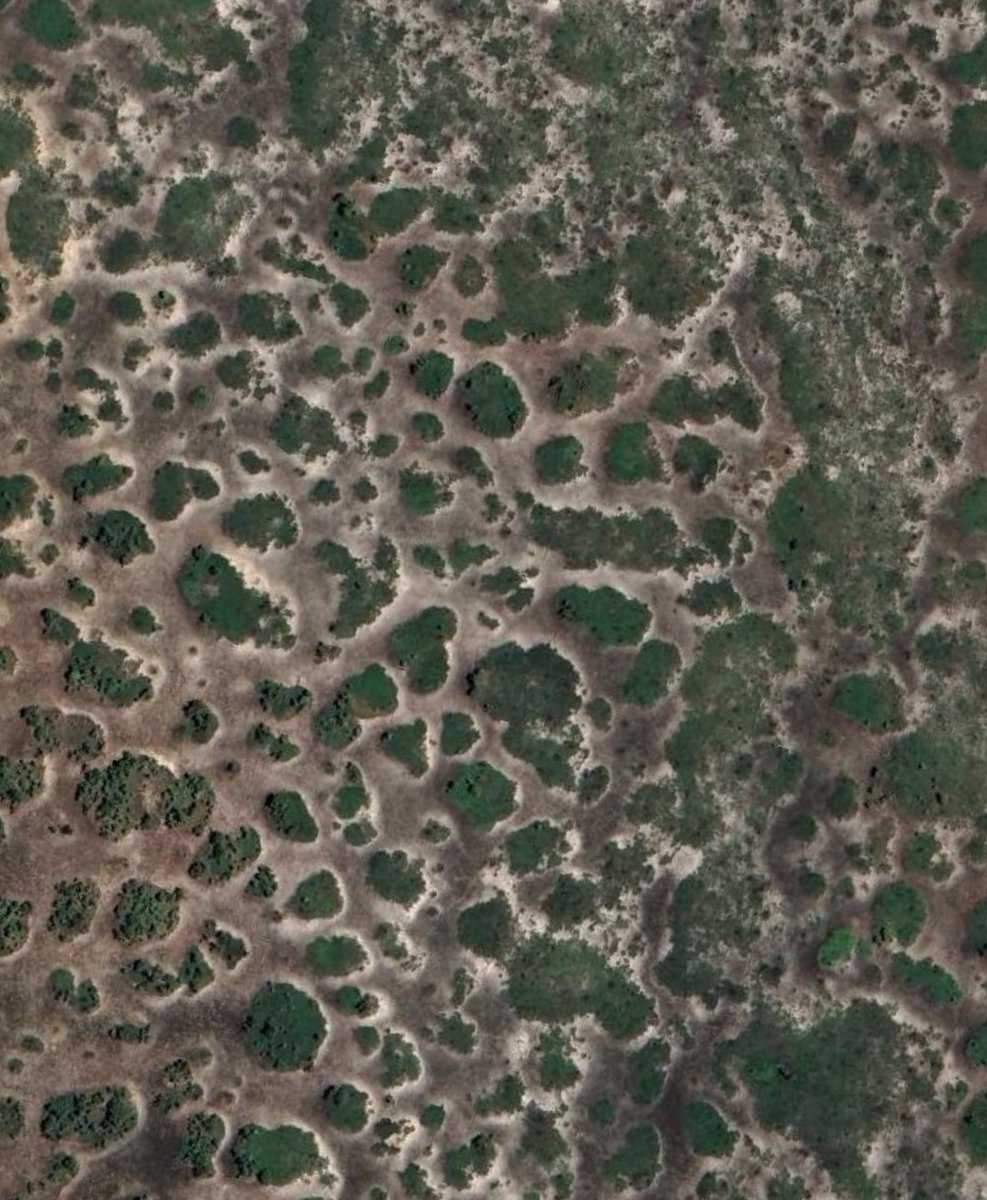 A diversidade do território Angolano

Imagens por satélite