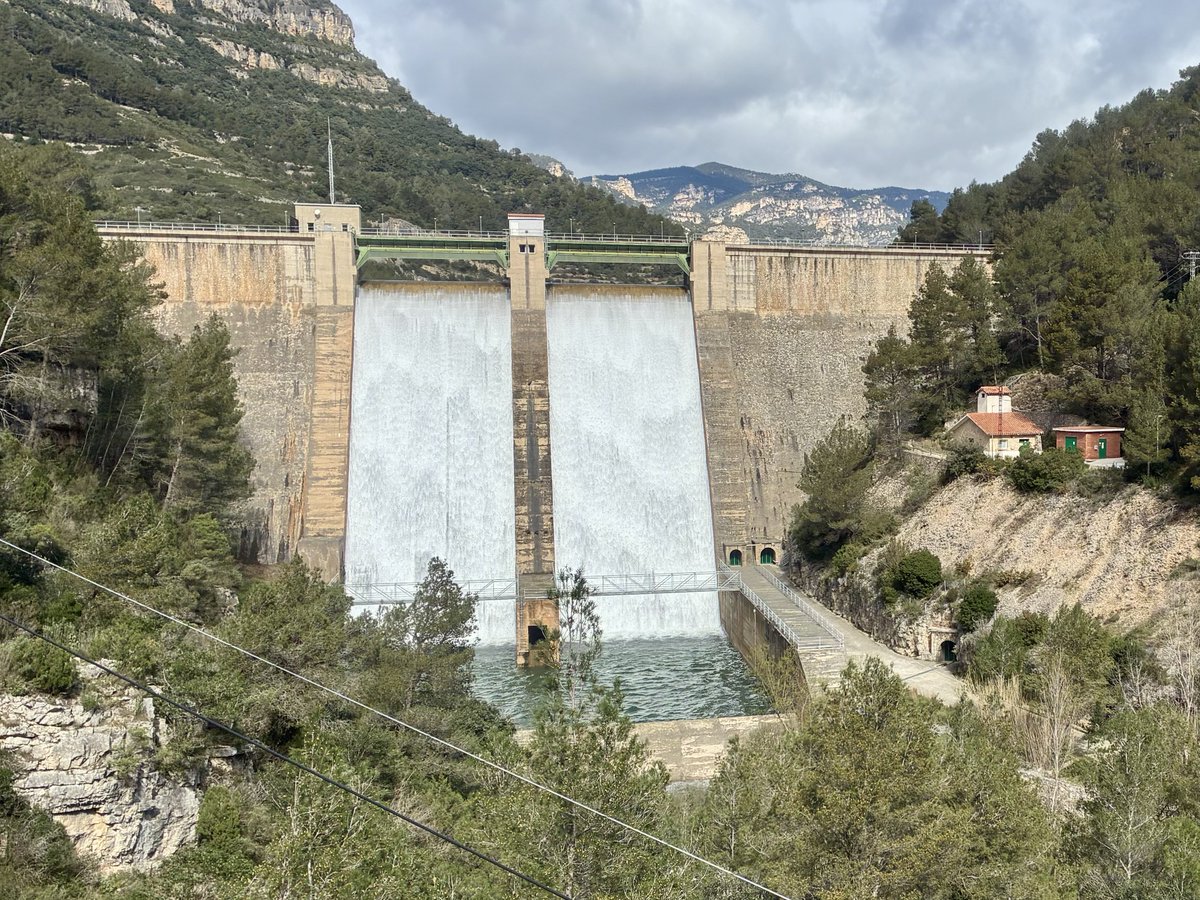 Danideldelta tweet media