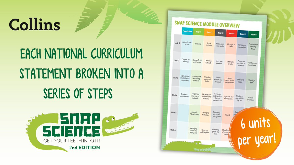 Collins Primary tweet media