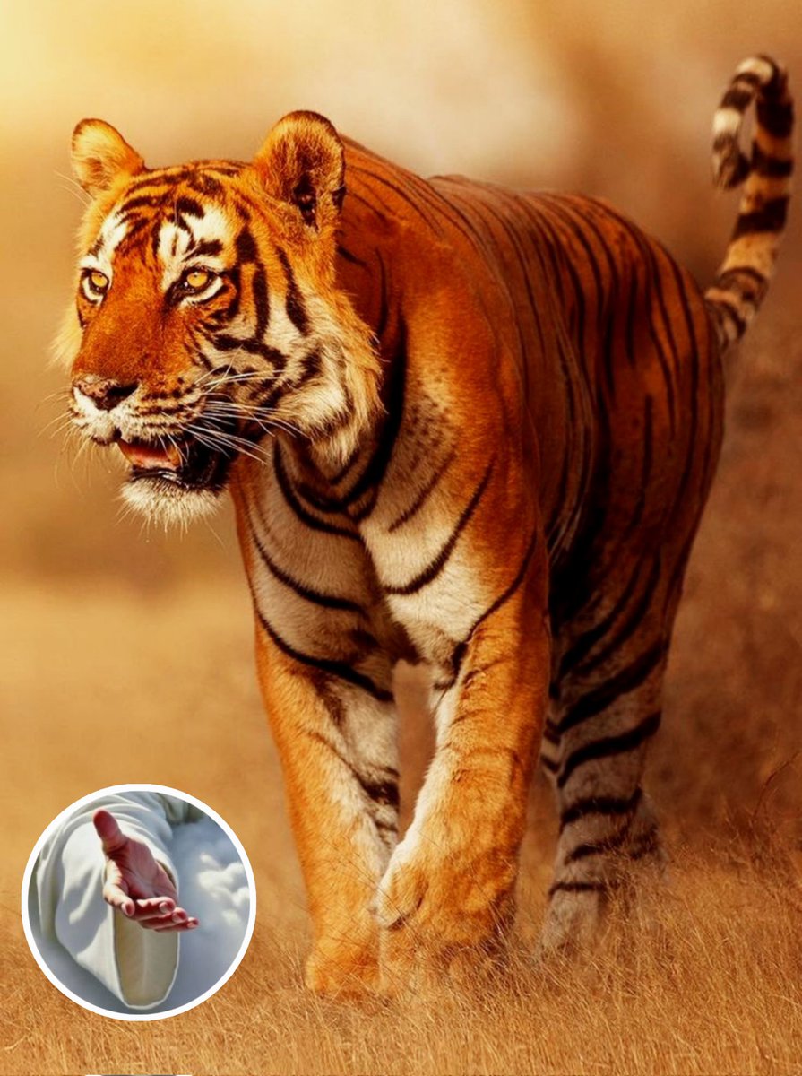 hanmosan's tweet image. &amp;lt;Christians are pilgrims ascending to heaven, and God is responsible for the beginning and the end of that journey.&amp;gt;

🤍Jehovah will keep thy going out and thy coming in From this time forth and for evermore.

(Psalm 121 : 8) 🙏
#Keep