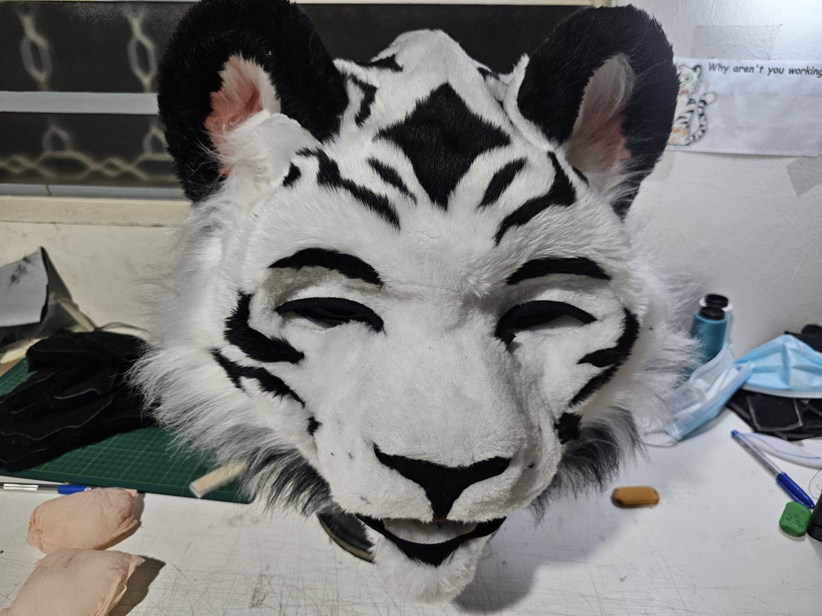 Zeng Tiger 🇧🇷 tweet media