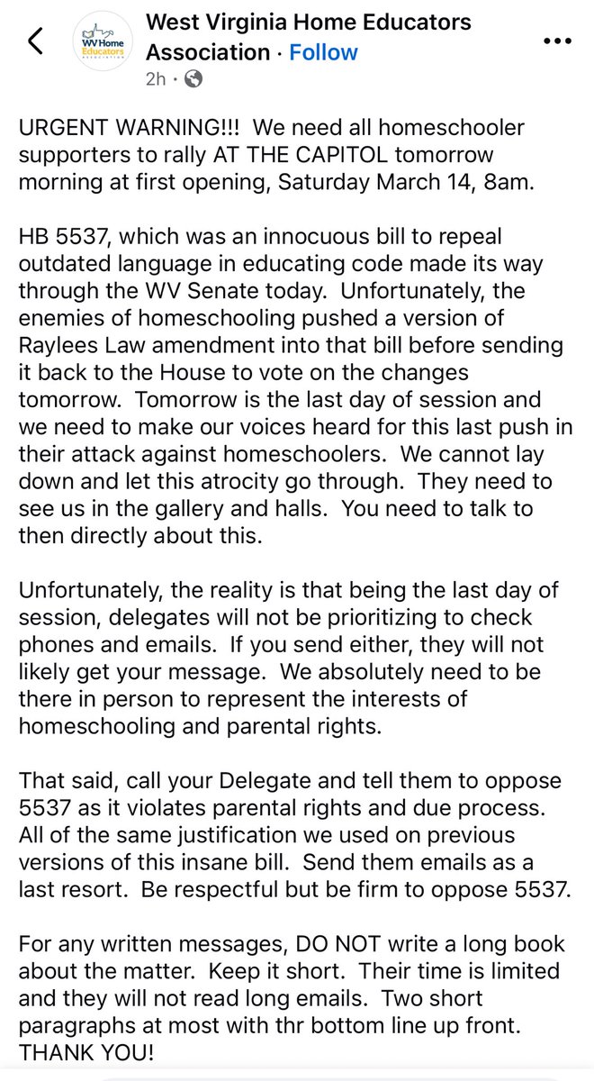 Amelia Knisely tweet media