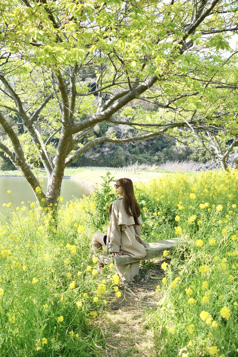 夏川いづみ🦩 tweet media