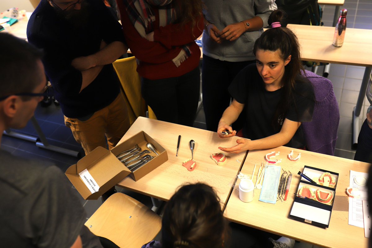 soframmi's tweet photo. 🗓️ Mi-mai se tiendra la nouvelle formation qualifiante à Caen !

Les soins dentaires représentent une part importante de l’activité médicale en milieu isolé, voici une opportunité pour y être formé 🦷

📝 Infos et inscription avant le 30 mars : sante.formationcontinue@unicaen.fr https://t.co/ZHwWFwFTEa