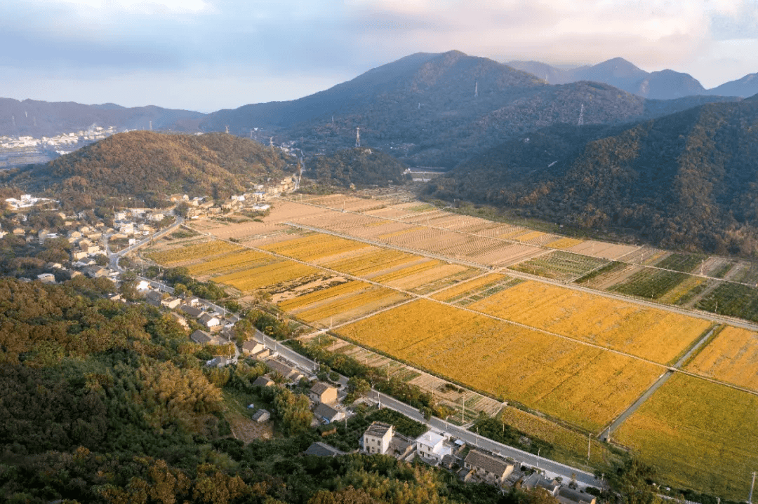 nico gli tweet media