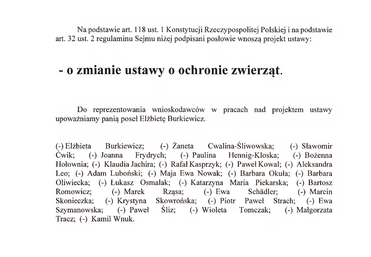 Klaudia Jachira tweet media