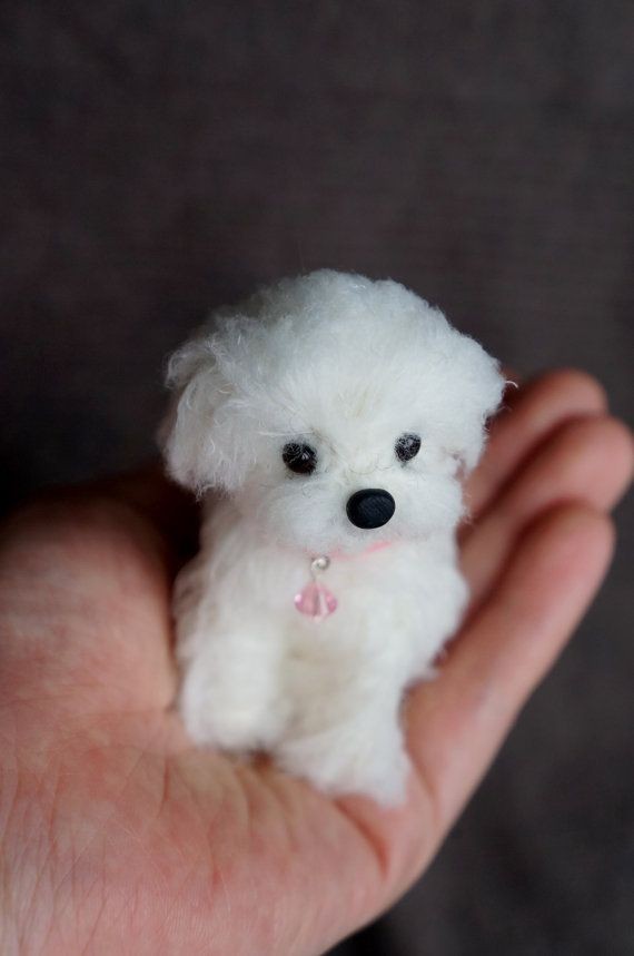 도웅오가 하는 챼뱜뱌 모에화 보면 형을 이쯤으로 보고 있는 것 같음 자신만의 쟈근 뽑삐정도로
그래서 아르르르거려도 귀여워함
정작 자신이 진짜 형 손바닥 안에 있는 강아인데<근데 이것도 다 알고 형한테 맞춤
연상 한정 자아 없는 게 헌신씹탑왼이라고 생각함