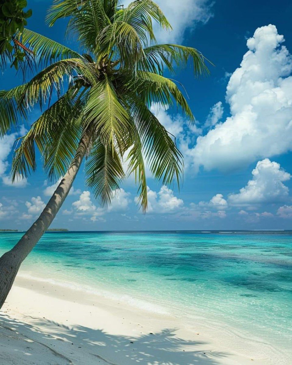 Djair Monteiro tweet media