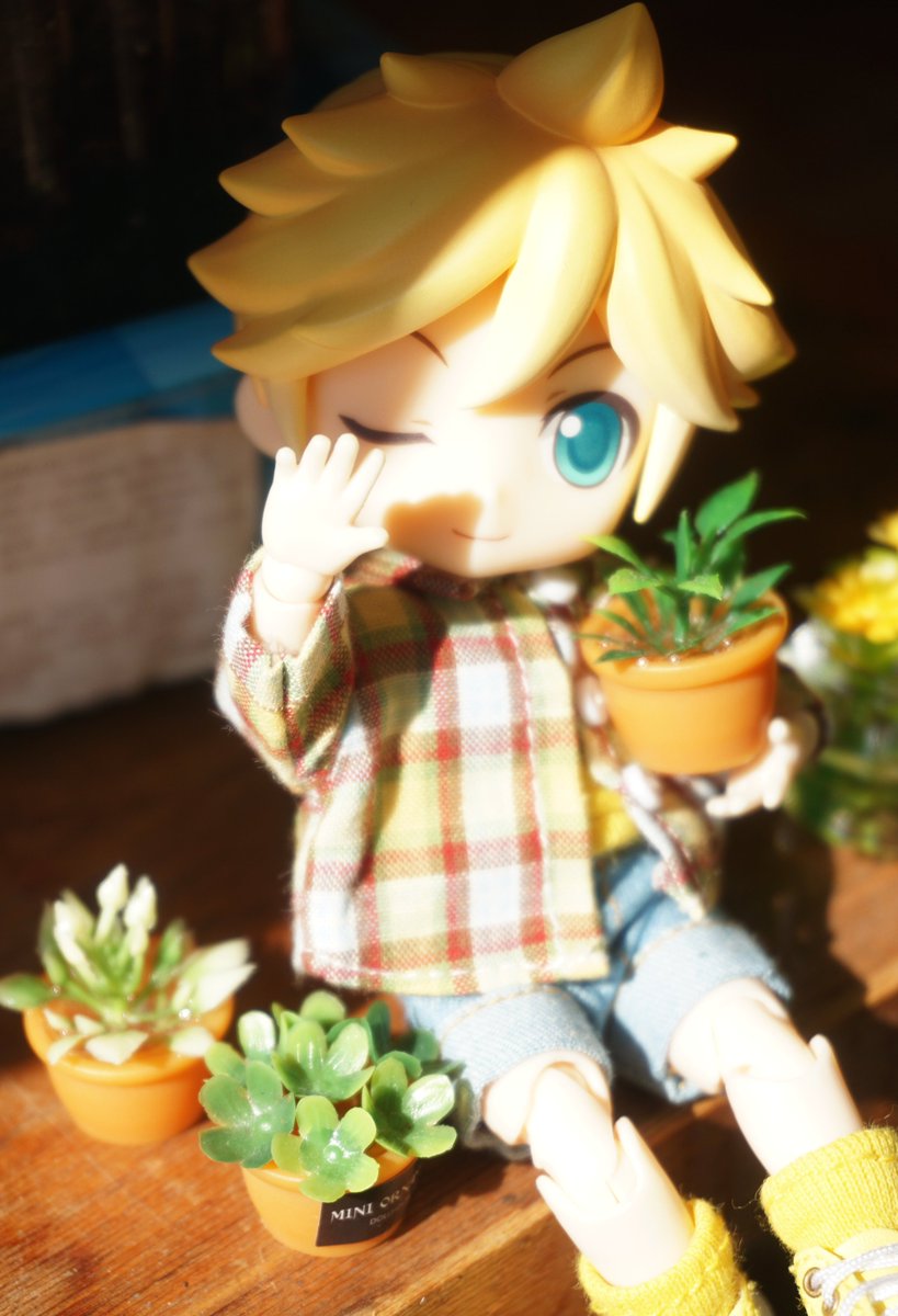 Акаруля tweet media