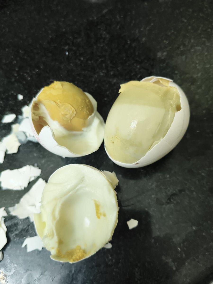 Shadishudaa's tweet photo. @EggozNutrition @instamart_it
Purchased Eggoz eggs, pack of 10 on 8th of March. Use by date is 19th March. I boiled some eggs on 11th of March and some today. On both the occasions, boiled eggs had a foul smell, yellow colour and bursted while boiling. https://t.co/2nWAR1dyus