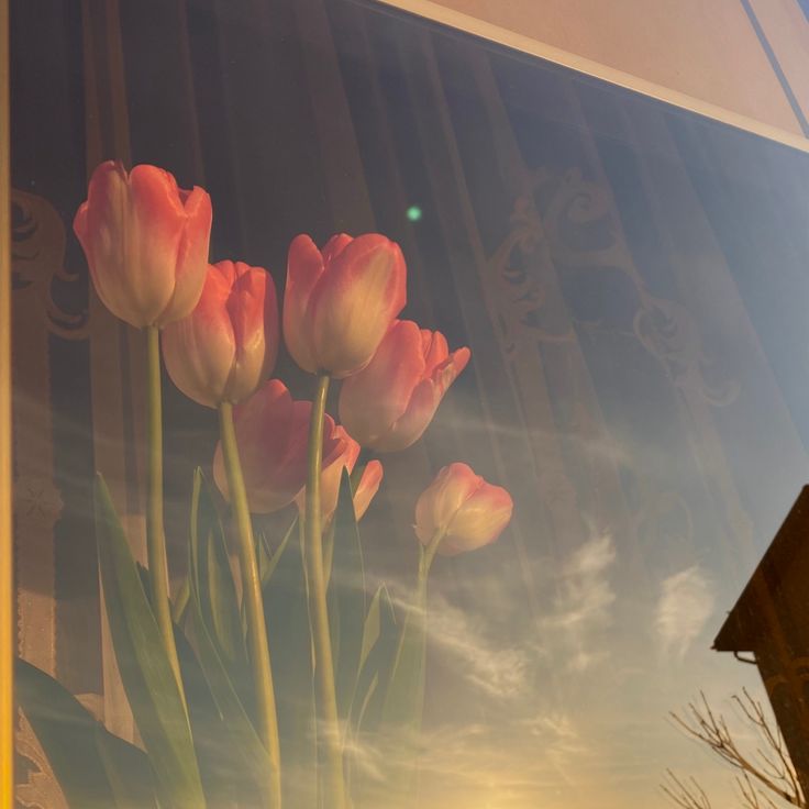 nirmalaa tweet media