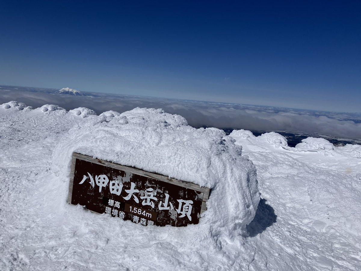 旅猫にゃにゃかつ tweet media