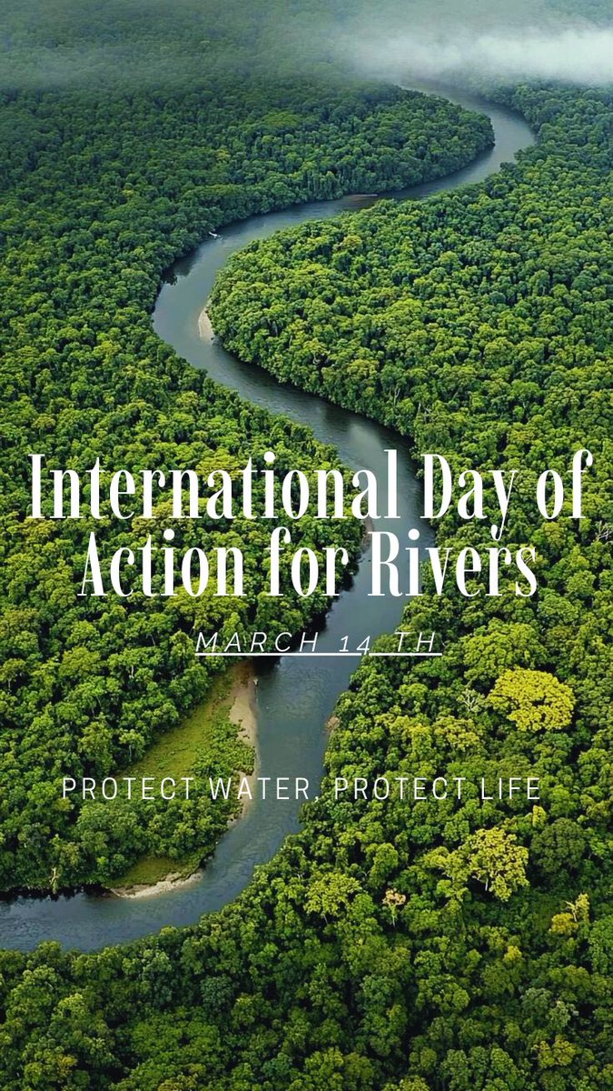 The Green Protector tweet media