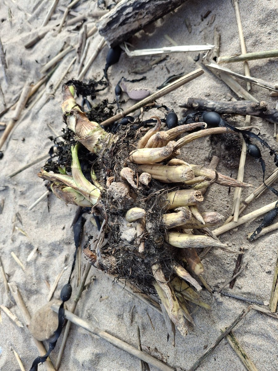 Cork County Council tweet media