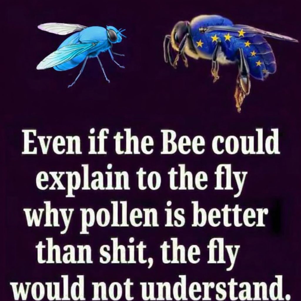 SurreyUltra💙🏴󠁧󠁢󠁷󠁬󠁳󠁿🏴󠁧󠁢󠁳󠁣󠁴󠁿 tweet media