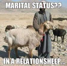 🇳🇱 uut Grunn 🇳🇱 🏳️‍🌈 tweet media