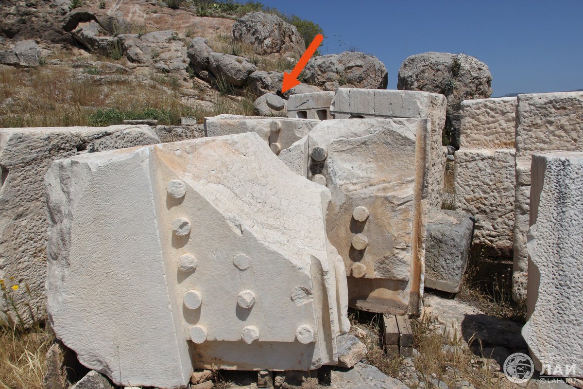 Maria Korh tweet media