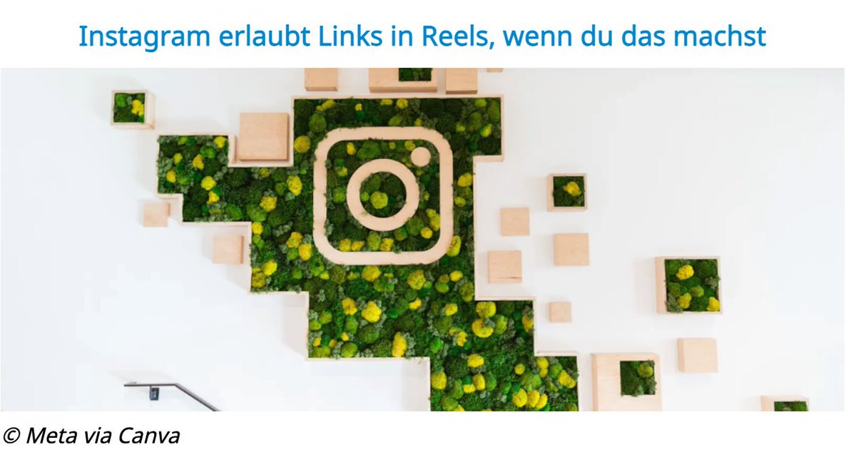 Torsten Panzer tweet media