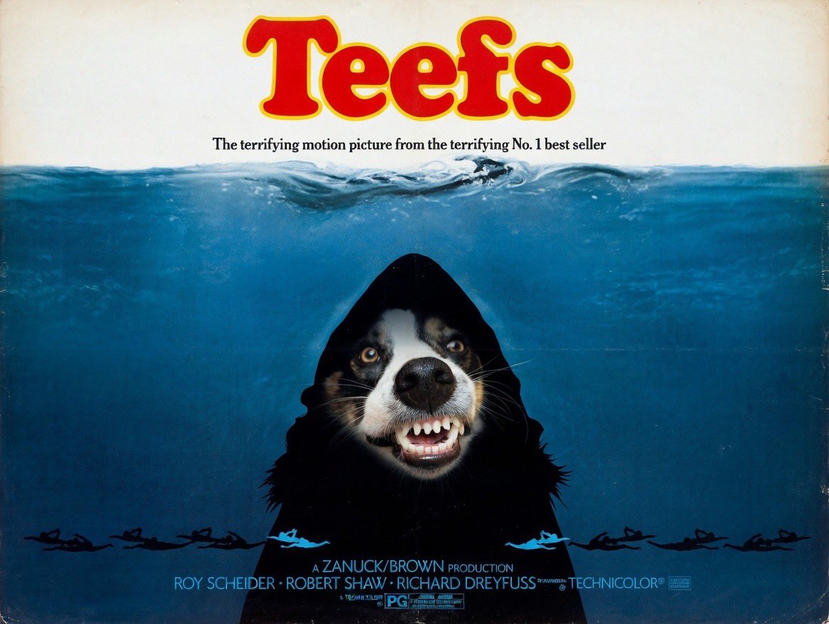 Puppy Bess and Auntie Kes tweet media