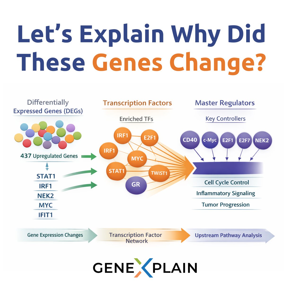 geneXplain GmbH tweet media