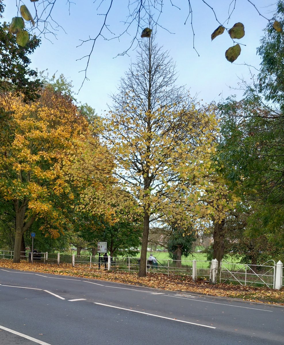 Andy Johnson tweet media