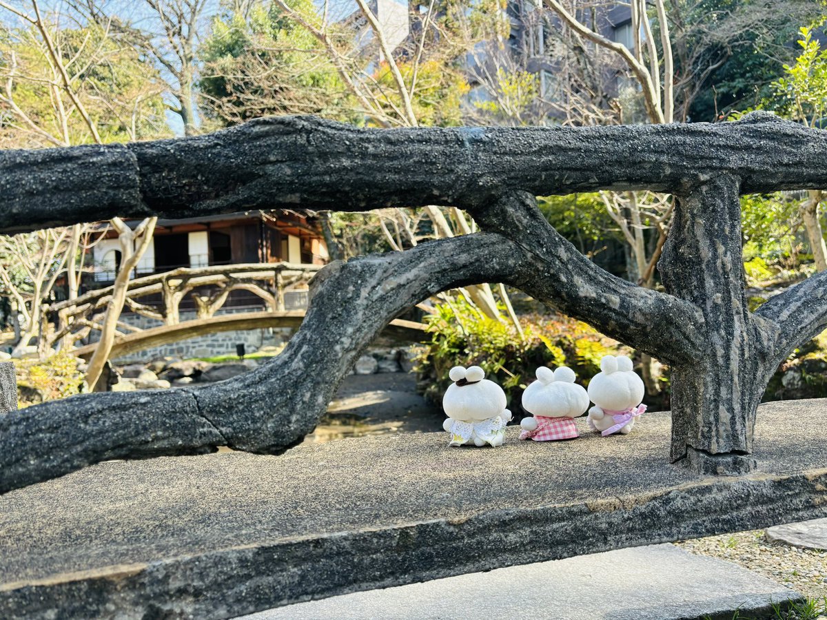 ちゃんまう tweet media